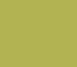 b2b352 - Olive Green Color Informations