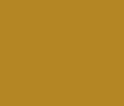 b58724 - Marigold Color Informations