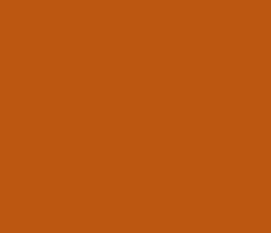 bb5511 - Fiery Orange Color Informations