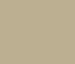 bcaf91 - Indian Khaki Color Informations