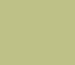 bec187 - Misty Moss Color Informations