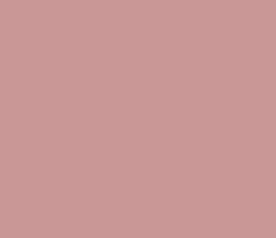 ca9797 - Oriental Pink Color Informations