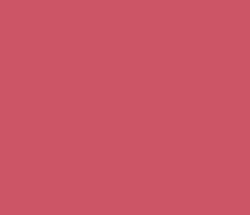 cc5566 - Chestnut Rose Color Informations