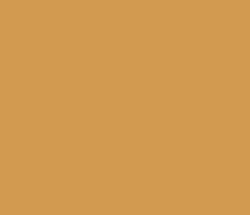 d29a50 - Raw Sienna Color Informations