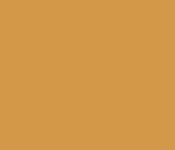 d49948 - Raw Sienna Color Informations