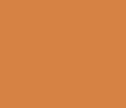 d58244 - Raw Sienna Color Informations