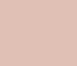 e0c0b4 - Cavern Pink Color Informations