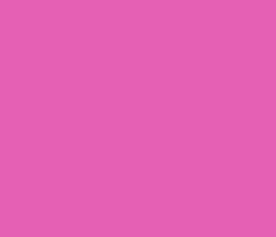 e560b4 - Deep Blush Color Informations