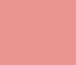 ea9591 - Sea Pink Color Informations