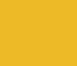 edba27 - Fuel Yellow Color Informations