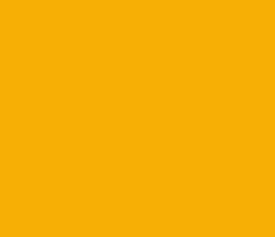 f6ac00 - Web Orange Color Informations