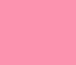 fc93af - Tickle Me Pink Color Informations