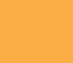 fcae46 - Yellow Orange Color Informations