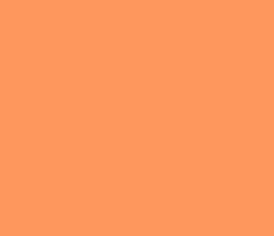 fe975c - Atomic Tangerine Color Informations