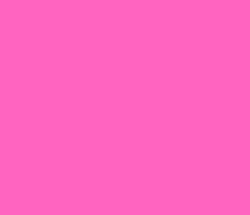 ff64c1 - Hot Pink Color Informations