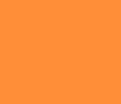 ff8e38 - Neon Carrot Color Informations