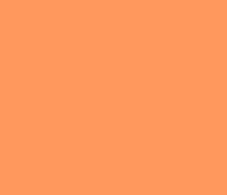 ff985d - Atomic Tangerine Color Informations