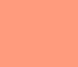 ff9b7d - Vivid Tangerine Color Informations