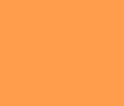ff9d4d - Neon Carrot Color Informations