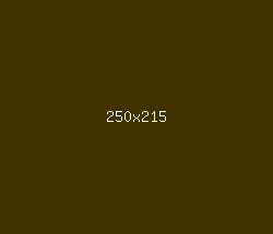 403300 - Cola Color Informations