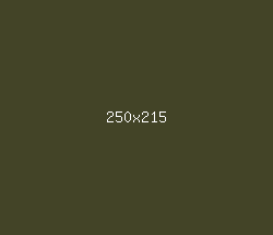 434427 - Lisbon Brown Color Informations