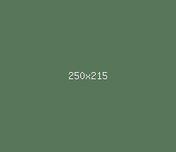 587659 - Cactus Color Informations