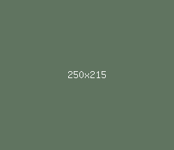 607460 - Cactus Color Informations