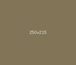 827557 - Shadow Color Informations