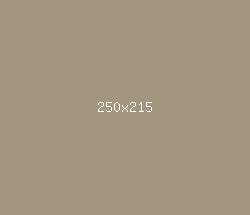 a2967f - Donkey Brown Color Informations