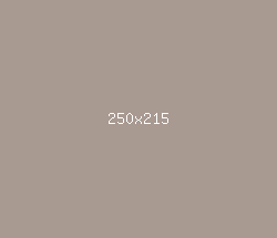 a89991 - Zorba Color Informations