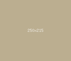 bbae90 - Indian Khaki Color Informations