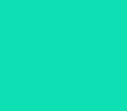 0fe0b3 - Caribbean Green Color Informations