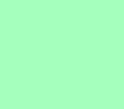 a5ffbd - Mint Green Color Informations
