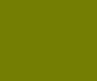 737f02 - Olive Color Informations