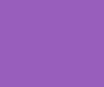 985ebc - Purple Plum Color Informations
