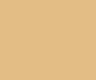 e3bd85 - Gold Sand Color Informations