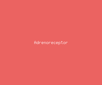 adrenoreceptor meaning, definitions, synonyms
