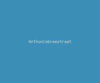 anthonisbreestraat meaning, definitions, synonyms