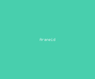 araneid meaning, definitions, synonyms