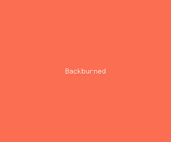 backburned meaning, definitions, synonyms