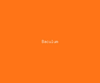 baculum meaning, definitions, synonyms