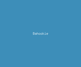 bahookie meaning, definitions, synonyms