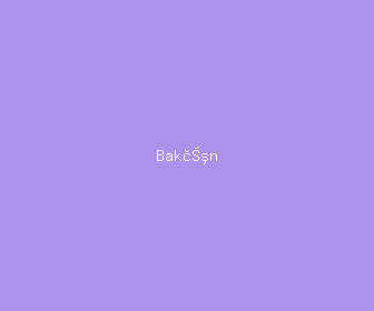bak覺n meaning, definitions, synonyms