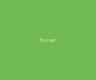ballagh meaning, definitions, synonyms