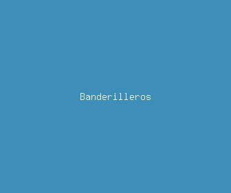 banderilleros meaning, definitions, synonyms