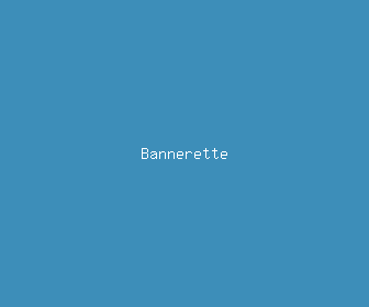 bannerette meaning, definitions, synonyms