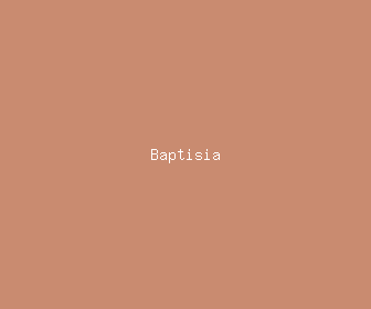 baptisia meaning, definitions, synonyms