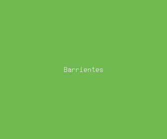 barrientes meaning, definitions, synonyms