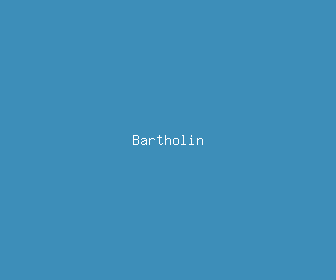 bartholin meaning, definitions, synonyms