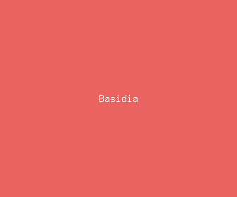basidia meaning, definitions, synonyms